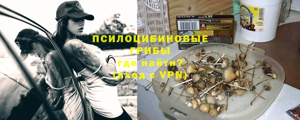 дживик Алексеевка