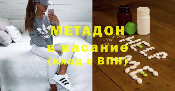 стаф Алзамай