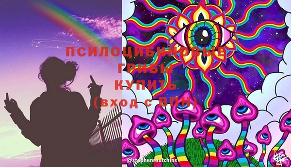 спайс Нягань