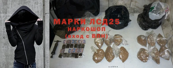 СК Няндома
