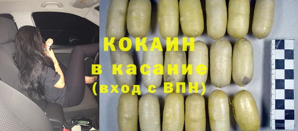 стаф Алзамай